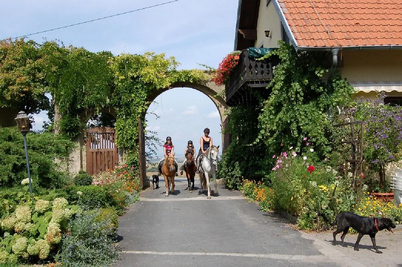 Apartment Ferienwohnungen Lindleshof Leinach Germany