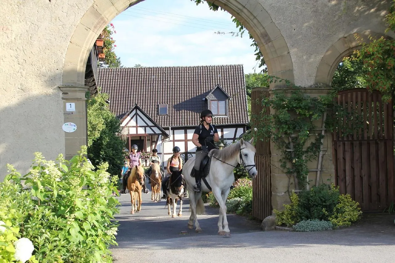 Apartment Ferienwohnungen Lindleshof Leinach