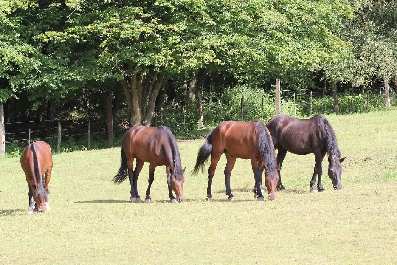Ferienwohnungen Lindleshof Leinach 0*,